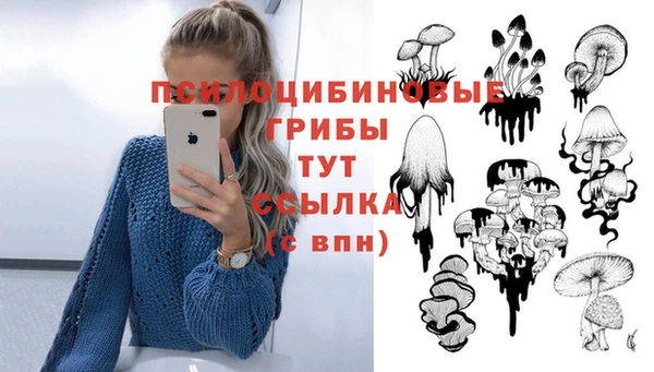 СК Арсеньев