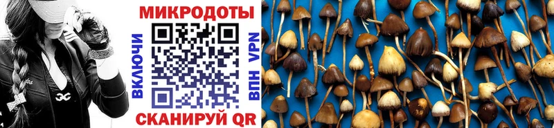Псилоцибиновые грибы мицелий  гидра рабочий сайт  Лесосибирск 